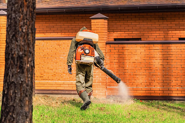 Trusted Rodent Control service in Greenville, OH - Nex Pest Control